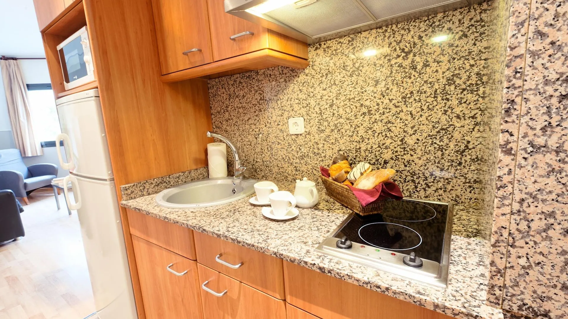 Apartments Sata Park Guell Area Barcellona